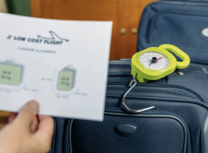 Il 2023 ha visto un aumento medio dei prezzi dei voli del 36%, rendendo cruciale per ogni viaggiatore essere aggiornato sui momenti migliori per prenotare.