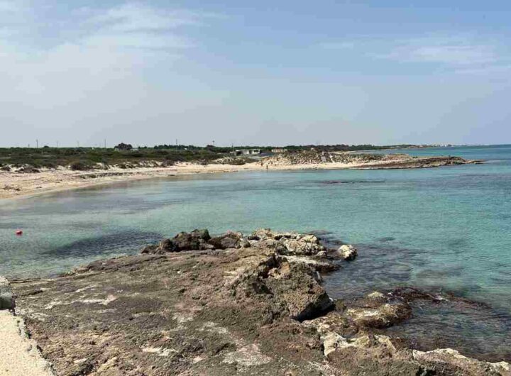 Torre Guaceto cosa vedere e fare