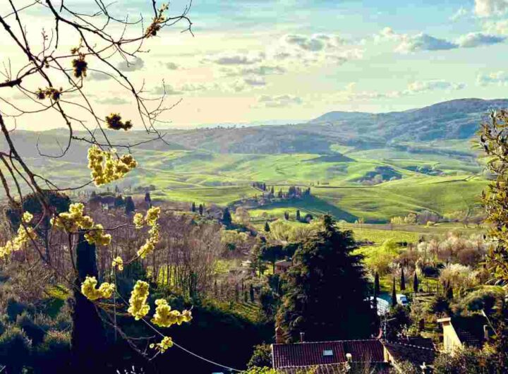Montepulciano cosa vedere e fare