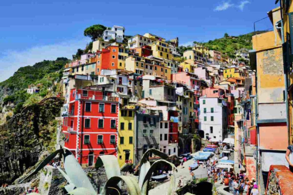 Pesce fresco, verdure di stagione, erbe aromatiche locali e, naturalmente, olio d'oliva, sono i protagonisti indiscussi delle ricette che raccontano