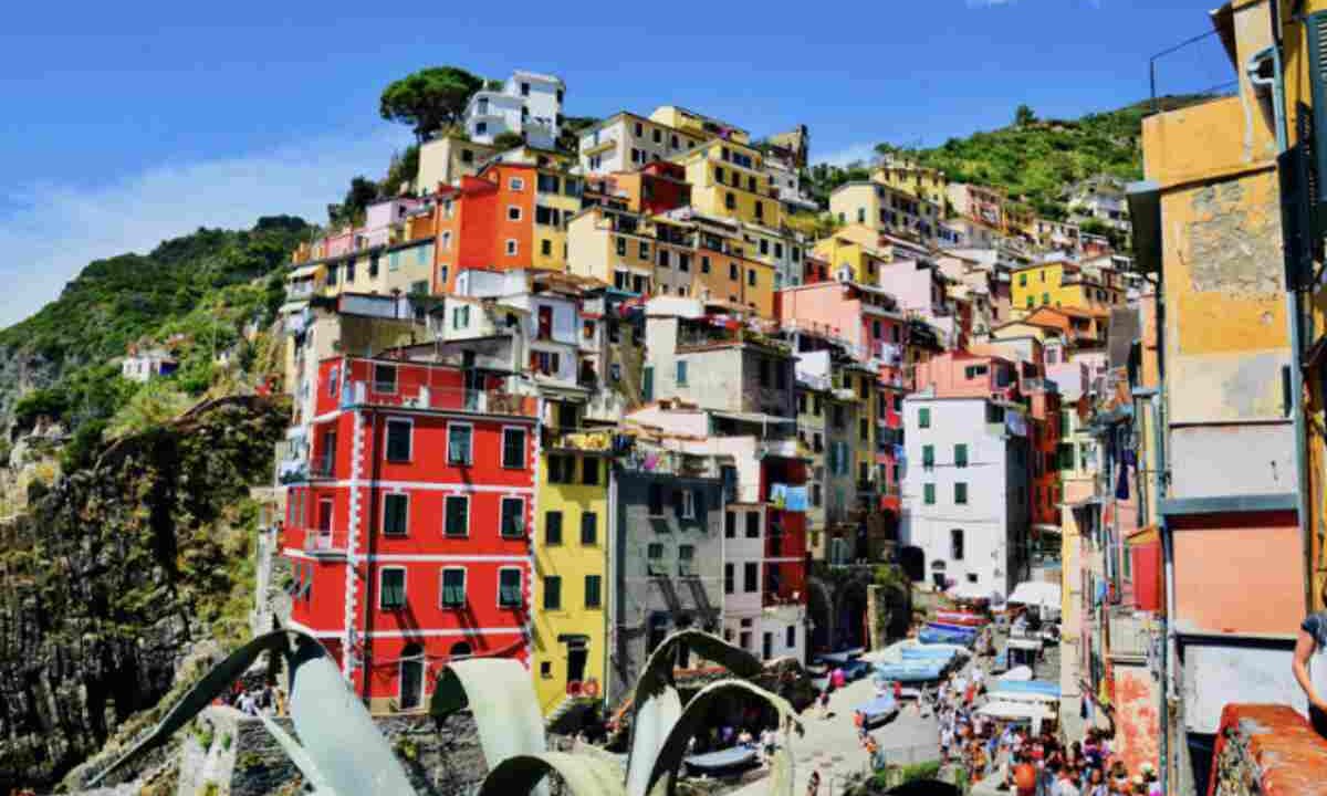 Pesce fresco, verdure di stagione, erbe aromatiche locali e, naturalmente, olio d'oliva, sono i protagonisti indiscussi delle ricette che raccontano