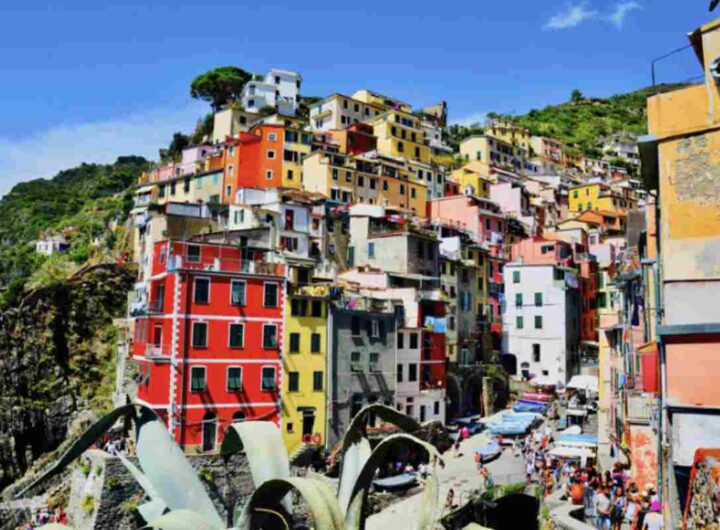 Pesce fresco, verdure di stagione, erbe aromatiche locali e, naturalmente, olio d'oliva, sono i protagonisti indiscussi delle ricette che raccontano