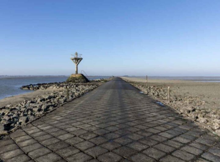 Si tratta del Passaggio del Gois, una via di comunicazione che collega l'isola di Noirmoutier al continente, ma solo durante la bassa marea.