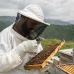 Apicoltore in tuta protettiva controlla un telaino pieno di api con una lente d’ingrandimento, con alveari e montagne sullo
