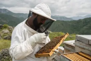 Apicoltore in tuta protettiva controlla un telaino pieno di api con una lente d’ingrandimento, con alveari e montagne sullo