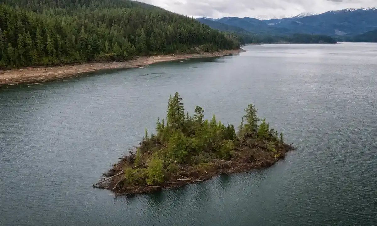 Isola galleggiante con alberi e tronchi in un grande lago circondato da foreste e montagne, sotto cielo nuvoloso