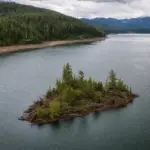 Isola galleggiante con alberi e tronchi in un grande lago circondato da foreste e montagne, sotto cielo nuvoloso