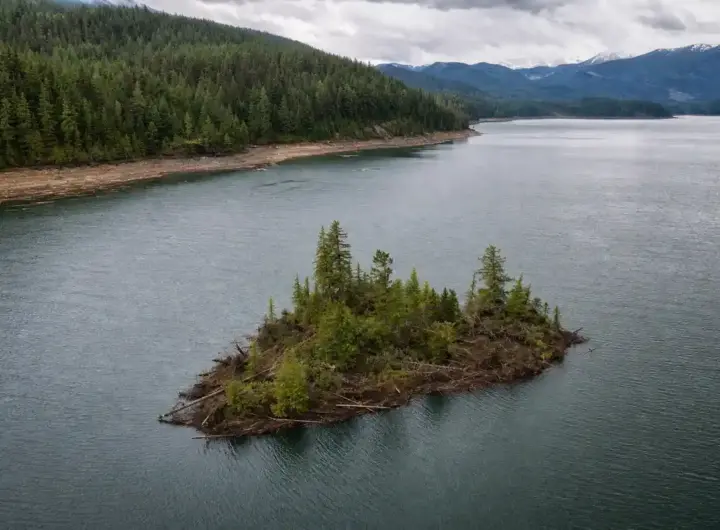 Isola galleggiante con alberi e tronchi in un grande lago circondato da foreste e montagne, sotto cielo nuvoloso