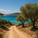 Sveti Klement: l'isola adriatica dove la natura canta tra pini, ulivi e mare cristallino