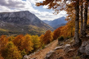 Forca d'Acero: la strada delle faggete tra Lazio e Abruzzo dipinta dall'autunno