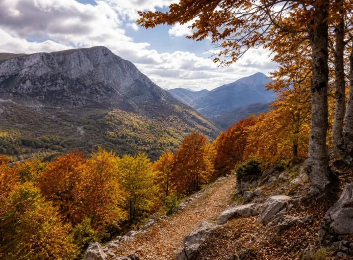 Forca d'Acero: la strada delle faggete tra Lazio e Abruzzo dipinta dall'autunno
